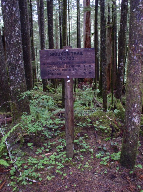 5.29.06 Siouxon Creek 001 